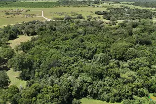 752 Lassman Rd, Goliad, TX 77963 - Photo 15