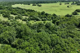 752 Lassman Rd, Goliad, TX 77963 - Photo 9