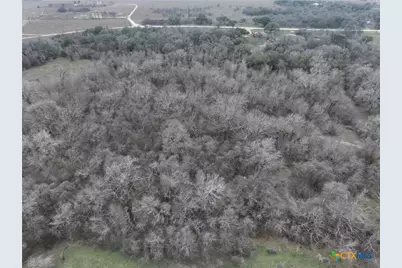 752 Lassman Road, Goliad, TX 77963 - Photo 17