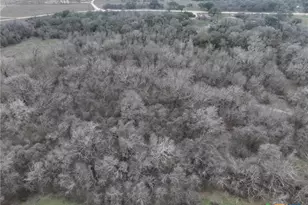 752 Lassman Rd, Goliad, TX 77963 - Photo 17