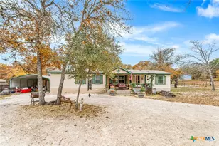 690 Cherry Ridge, Floresville, TX 78114 - Photo 3