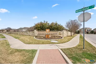 125 Danablu Drive, Hutto, TX 78634 - Photo 29