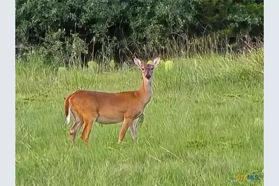 725 Cr 206, Burnet, TX 76811 - Photo 19