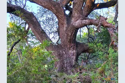 725 Cr 206, Burnet, TX 76811 - Photo 13