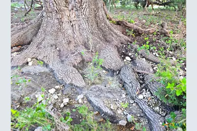 725 Cr 206, Burnet, TX 76811 - Photo 15