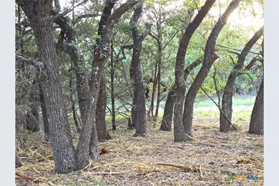 725 Cr 206, Burnet, TX 76811 - Photo 11