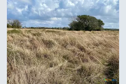 17.96 Acres County Road 457, La Ward, TX 77970 - Photo 13