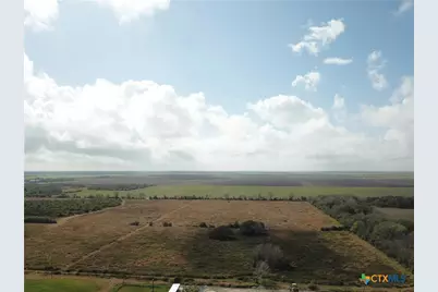 17.96 Acres County Road 457, La Ward, TX 77970 - Photo 11