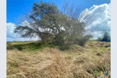 17.96 Acres County Road 457, La Ward, TX 77970 - Photo 7