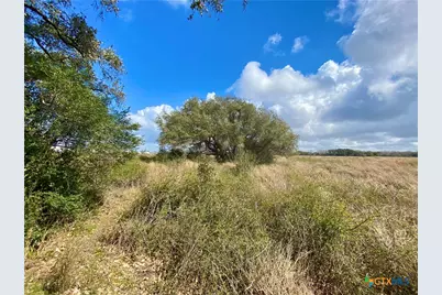 17.96 Acres County Road 457, La Ward, TX 77970 - Photo 9