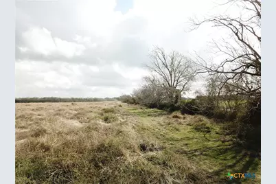 17.96 Acres County Road 457, La Ward, TX 77970 - Photo 17
