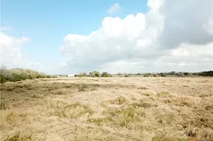 17 96 Acres County Road 457, La Ward, TX 77970 - Photo 1