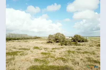 17.96 Acres County Road 457, La Ward, TX 77970 - Photo 5