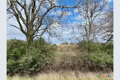 17.96 Acres County Road 457, La Ward, TX 77970 - Photo 15