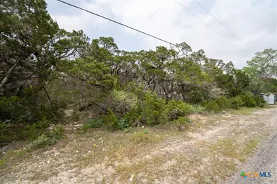 6136 Tanglewood Trail, Spring Branch, TX 78070 - Photo 9