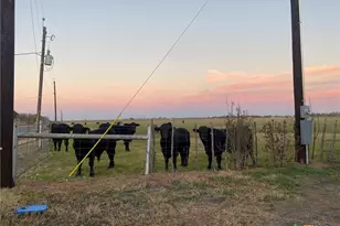 162 Friedens Church Rd, Seguin, TX 78155 - Photo 33