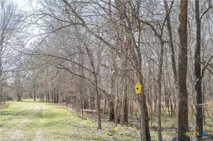 5672 FM86, Luling, TX 78648 - Photo 35