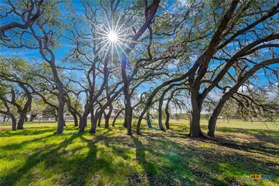 2444 Purgatory Road, New Braunfels, TX 78132 - Photo 39