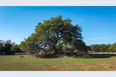 2444 Purgatory Road, New Braunfels, TX 78132 - Photo 23