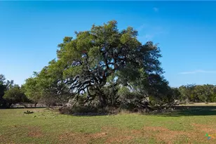 2444 Purgatory Rd, New Braunfels, TX 78132 - Photo 23