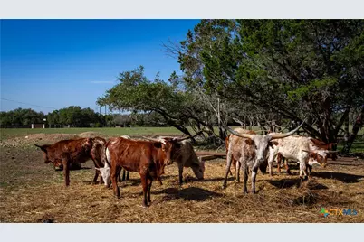 2444 Purgatory Road, New Braunfels, TX 78132 - Photo 29