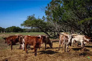 2444 Purgatory Rd, New Braunfels, TX 78132 - Photo 29