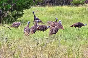 740 Cr 206, Lampasas, TX 76550 - Photo 3