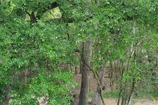 833 Old Ranch Rd 12, San Marcos, TX 78666 - Photo 17