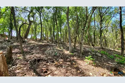 833 Old Ranch Road 12, San Marcos, TX 78666 - Photo 21