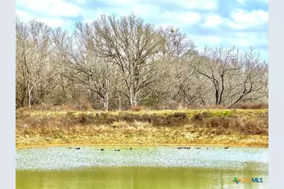 1118 Cr 447, Waelder, TX 78959 - Photo 11