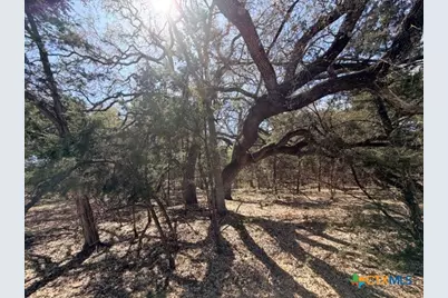 2026 Omaha Drive, Lago Vista, TX 78645 - Photo 7