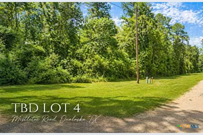 Tbd Mistletoe Street, Onalaska, TX 77360 - Photo 1