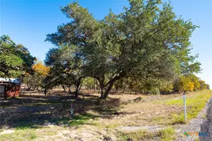 12851 FM1117, Seguin, TX 78155 - Photo 17