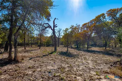 12851 Fm 1117, Seguin, TX 78155 - Photo 15