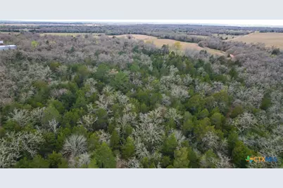 0 Hwy 190/36 and Cr 241A, Cameron, TX 76520 - Photo 9