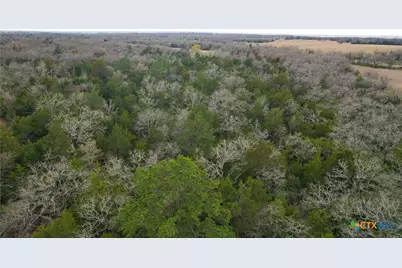 0 Hwy 190/36 and Cr 241A, Cameron, TX 76520 - Photo 11