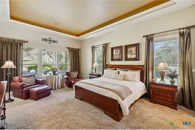 358 Mariposa Loop, New Braunfels, TX 78132 - Photo 19