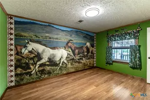 9701 County Rd 3420, Lampasas, TX 76550 - Photo 11