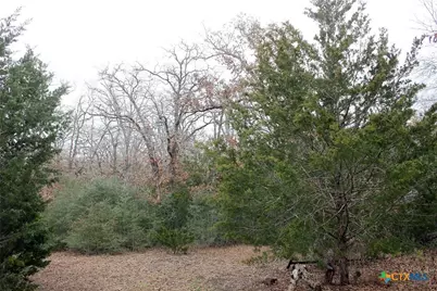 8729 E Fm 20, Dale, TX 78616 - Photo 3