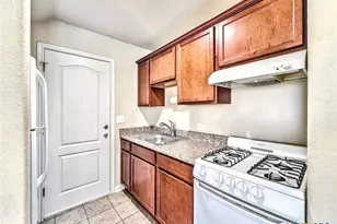 338 Trestle Tree, San Marcos, TX 78666 - Photo 9