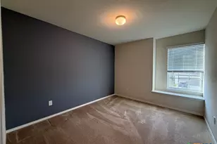 323 Mistflower, New Braunfels, TX 78130 - Photo 23