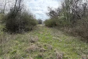 Tbd Lcr 666, Kosse, TX 76653 - Photo 5