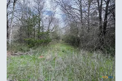 Tbd Lcr 666, Kosse, TX 76653 - Photo 7