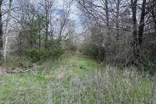 Tbd Lcr 666, Kosse, TX 76653 - Photo 7