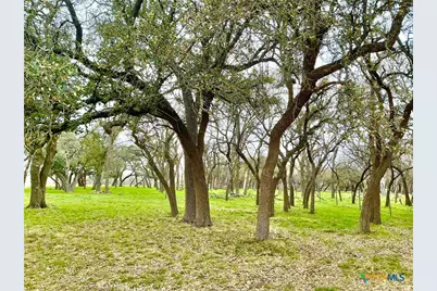 2501 County Road 228, Florence, TX 76527 - Photo 23