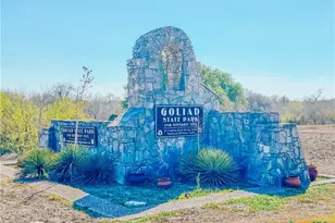 822 E Fannin St, Goliad, TX 77963 - Photo 17