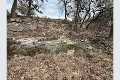 110 Guadalupe Drive, Oglesby, TX 76561 - Photo 19