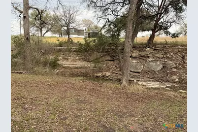 110 Guadalupe Drive, Oglesby, TX 76561 - Photo 33