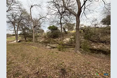 110 Guadalupe Drive, Oglesby, TX 76561 - Photo 35