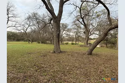 110 Guadalupe Drive, Oglesby, TX 76561 - Photo 33